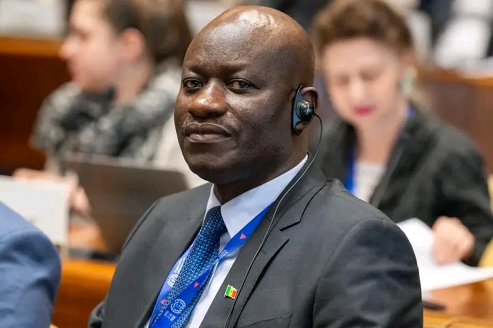 Dakar a un nouveau maire : Abass Fall élu après le scrutin