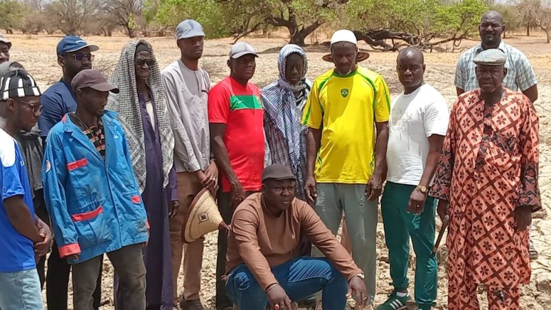 BAKEL: LES POPULATIONS DE BORDE DIAWARA DANS LA COMMUNE DE GABOU SE MOBILISENT AUTOUR DE LA MARE DE BOUBA SANS EAU 9 MOIS SUR 12.