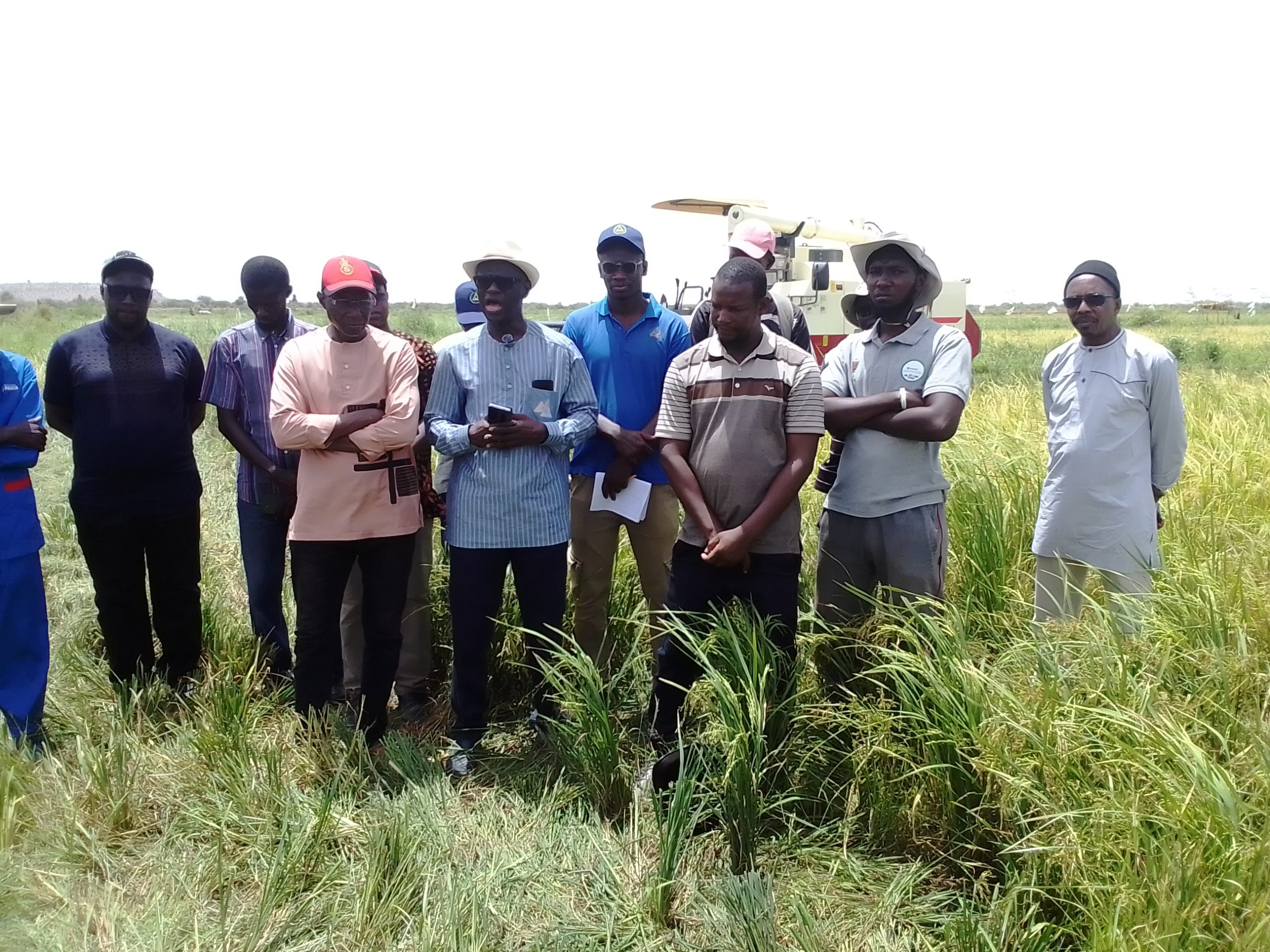 BAKEL/Le DG de la SAED est allé à la rencontre des producteurs de riz de Yaféra et du Collangal